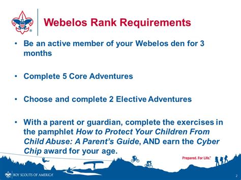 cyber chip grade 5|webelos requirements 2023.